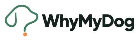 WhyMyDog