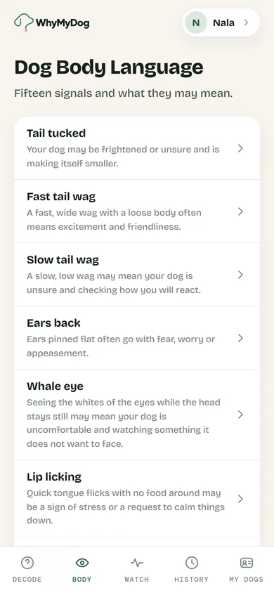 Dog Body Language