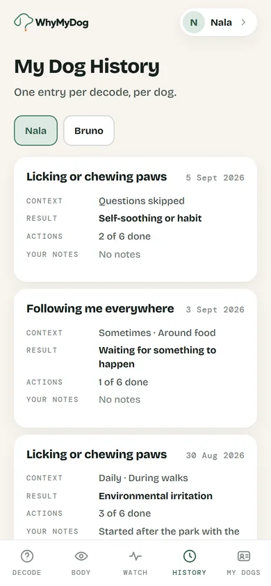 My Dog History